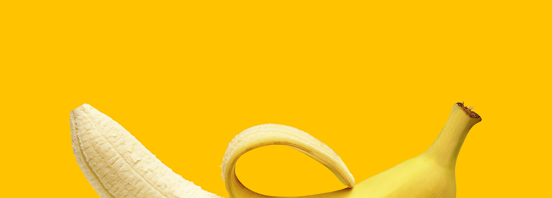 &nbsp;
